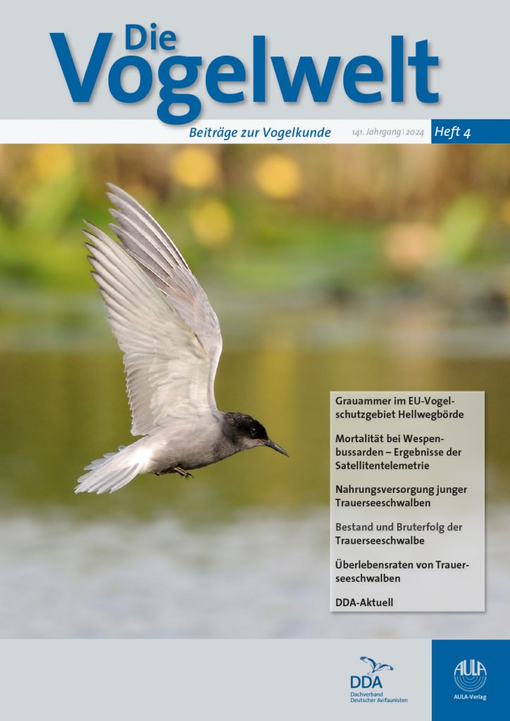 Jg 141 Heft 4